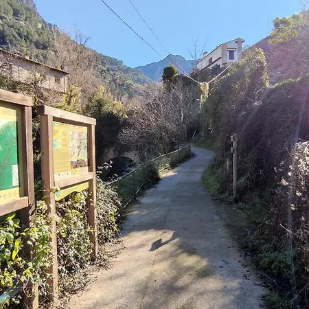Yolanda Apartamento Cazorla